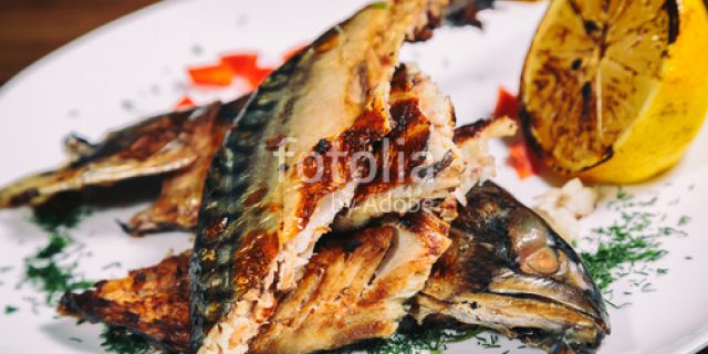Tushi Sushi
